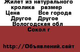 Жилет из натурального кролика,44размер › Цена ­ 500 - Все города Другое » Другое   . Вологодская обл.,Сокол г.